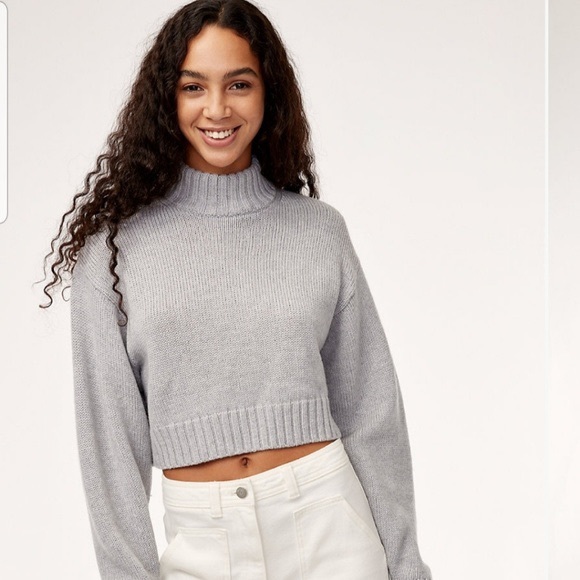 Aritzia Sweaters - Aritzia Cropped Turtleneck Sweater